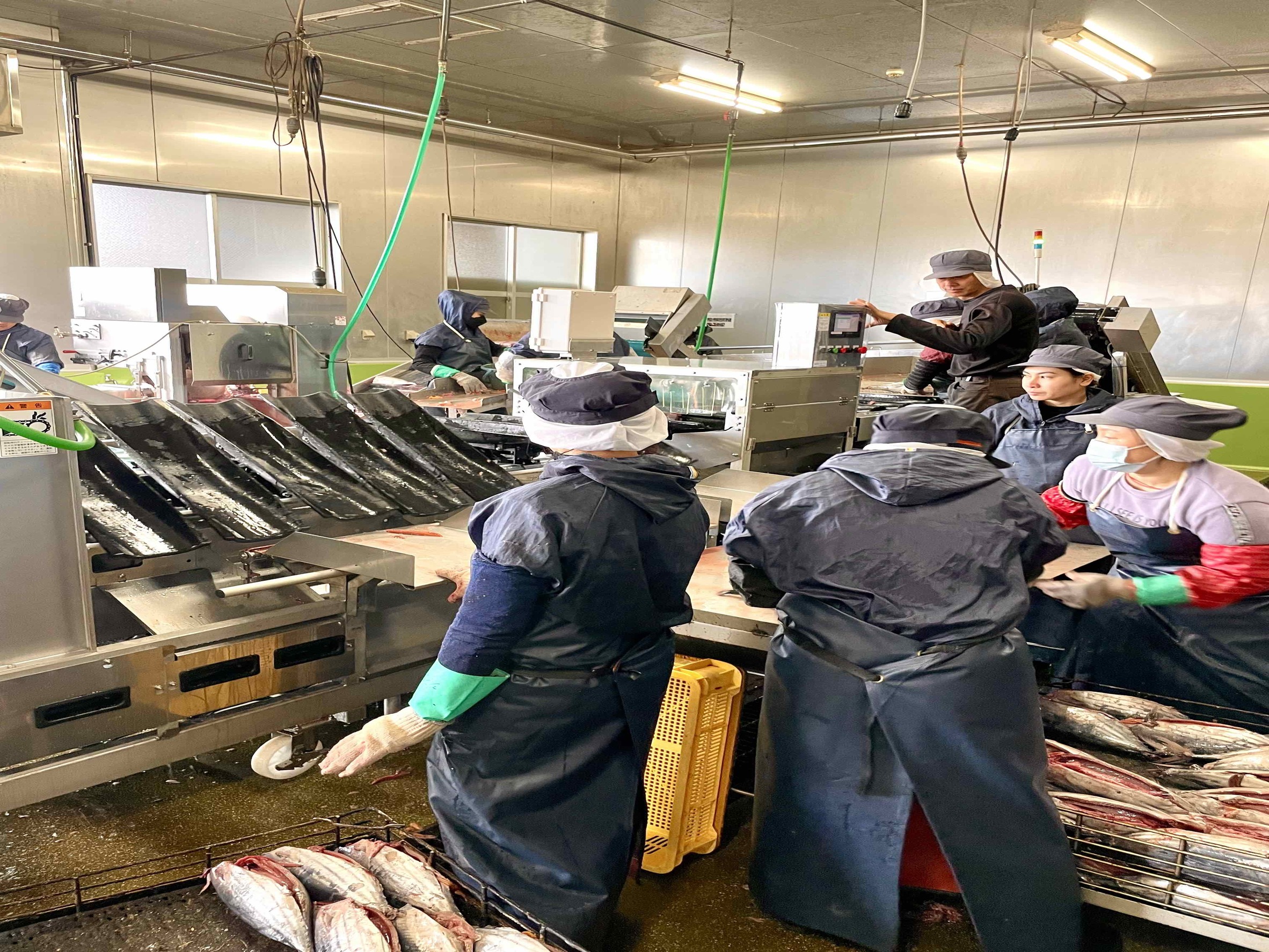 原料処理場